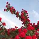 유성아크릴 이미지