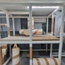 대청어린이집 이미지