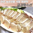 금강 | 안산 대방어회 맛집 농수산물시장 회센터 금강회수산 내돈내산후기