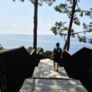 중문대포주상절리대 | 제주도여행, 중문대포 주상절리대 직접 다녀온 솔직 후기