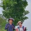 갑수씨랑 북악산(백악산 342m), 국립민속박물관, 인사동거리, 경희궁(2024.6.7. 금) 이미지