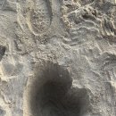 엠제트 퍼포먼스 이미지