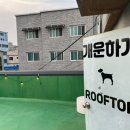 개운하개 네이버블로그