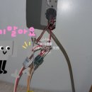 대명전업사