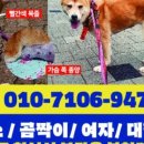 세븐일레븐 화성수기점