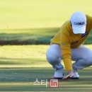 (주)그린브릿지 이미지