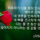 성경개발 이미지