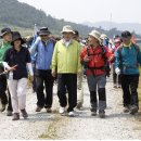 영산강뚝방길 이미지