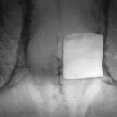 웰니스동물병원(롯데월드점) 이미지