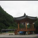 산채건강마을 이미지