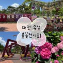 108 | 대전 유성 봄꽃전시회 유림공원 주차, 일정, 놀거리