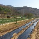 뉴전원공인중개사사무소 이미지
