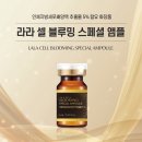 (주)코리아세븐 진주초전점 | ✅ 라라코리아인터내셔날 – 건강한 유통 플랫폼의 새로운 기준!