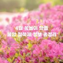 영신여자고등학교입구 | 4월 꽃놀이 핫플 노원 불암산 철쭉 축제 주차 포토존 맛집 알아봐요