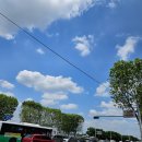 미각찹쌀순대 이미지