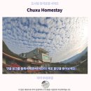 멍꾸러기 | 츄수 홈스테이 후기 자이 가성비 숙소 추천