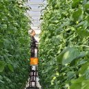 드림농장 이미지