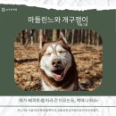 개구쟁이 | [후기]『마들린느와 개구쟁이』 부산 그림책 세미나-창작활동