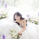플레르스튜디오 이미지