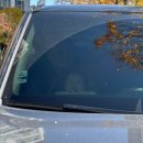 전남치과재료상사 | 아이랑 순천여행 1박2일 추천코스 순천만습지 낙안읍성