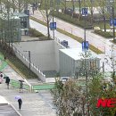 백양로 이미지
