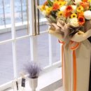 홍피아플레르