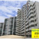 영랑초등학교/속초유치원 이미지