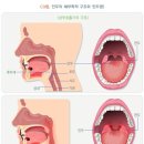 J2080 이미지