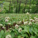 청정농장 이미지