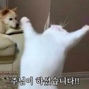 두번째 인사.