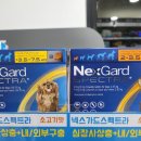 경기도 수원시 장안구 경수대로1044번길 이미지