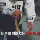 수호판다 이미지