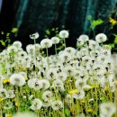 바람의 집 이미지