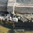 매산천 시사타임