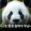 인천채씨열려문 이미지