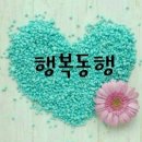 비오는 주말 고슬하게 ~♡ 이미지