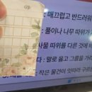 더프라임어학원