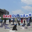 바다와고래 이미지