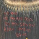 응봉헤어라인 | 연남동붙임머리 상수동붙임 머리 소개로 오신 고객님 단발 붙임 머리 후기