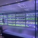 에그망고 스튜디오 이미지