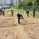 도시농부의 자원순환 텃밭농사 이미지
