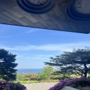 청하시장 | [포항] 오션힐스 포항 cc 리조트 1박2일 골프텔 후기 (근처 맛집 러블랑, 시장식육식당)