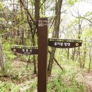 가창 누리길 이미지