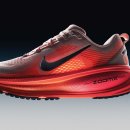 지금부터 한 걸음 도심 속 러닝 이미지