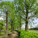 안산천남로 이미지