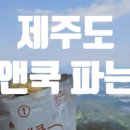 뉴월드마트로주 이미지