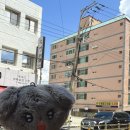 수영돼지국밥 네이버블로그
