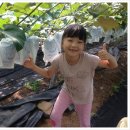 포도밭에아이들 이미지