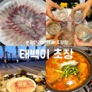 부산초장 | 부산 광안리 초장집 회센터 : 태백이 초장 : 민락어민활어직판장 횟집 내돈내산 후기