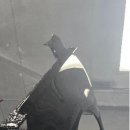 정밀공업사